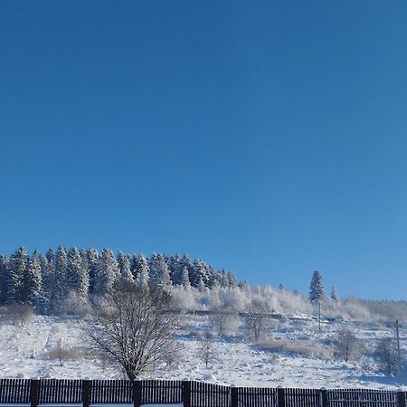 Skhidnytsia Перлина Карпат 아파트 외부 사진