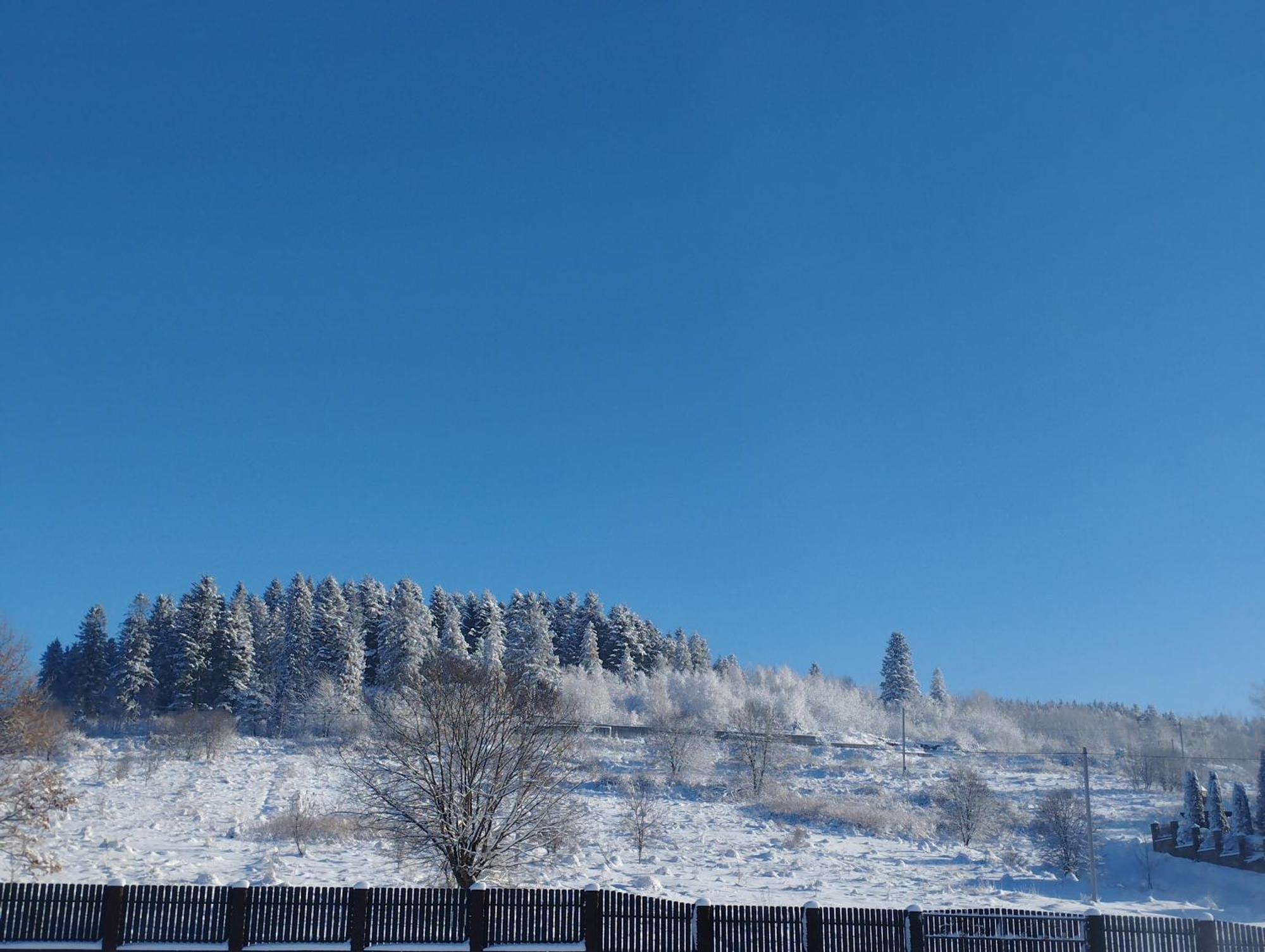 Skhidnytsia Перлина Карпат 아파트 외부 사진